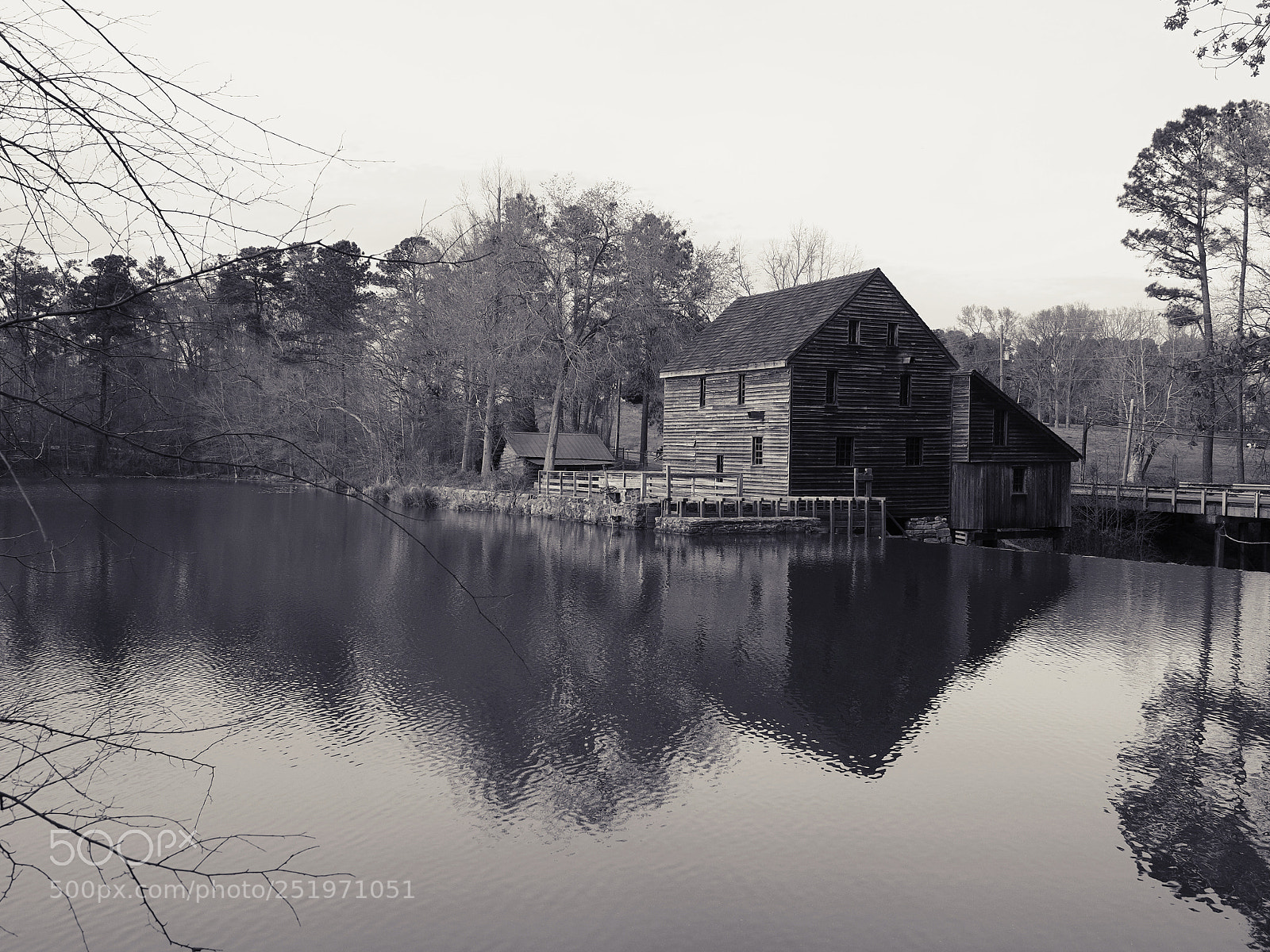 Olympus OM-D E-M5 II sample photo. Yates mill county park photography