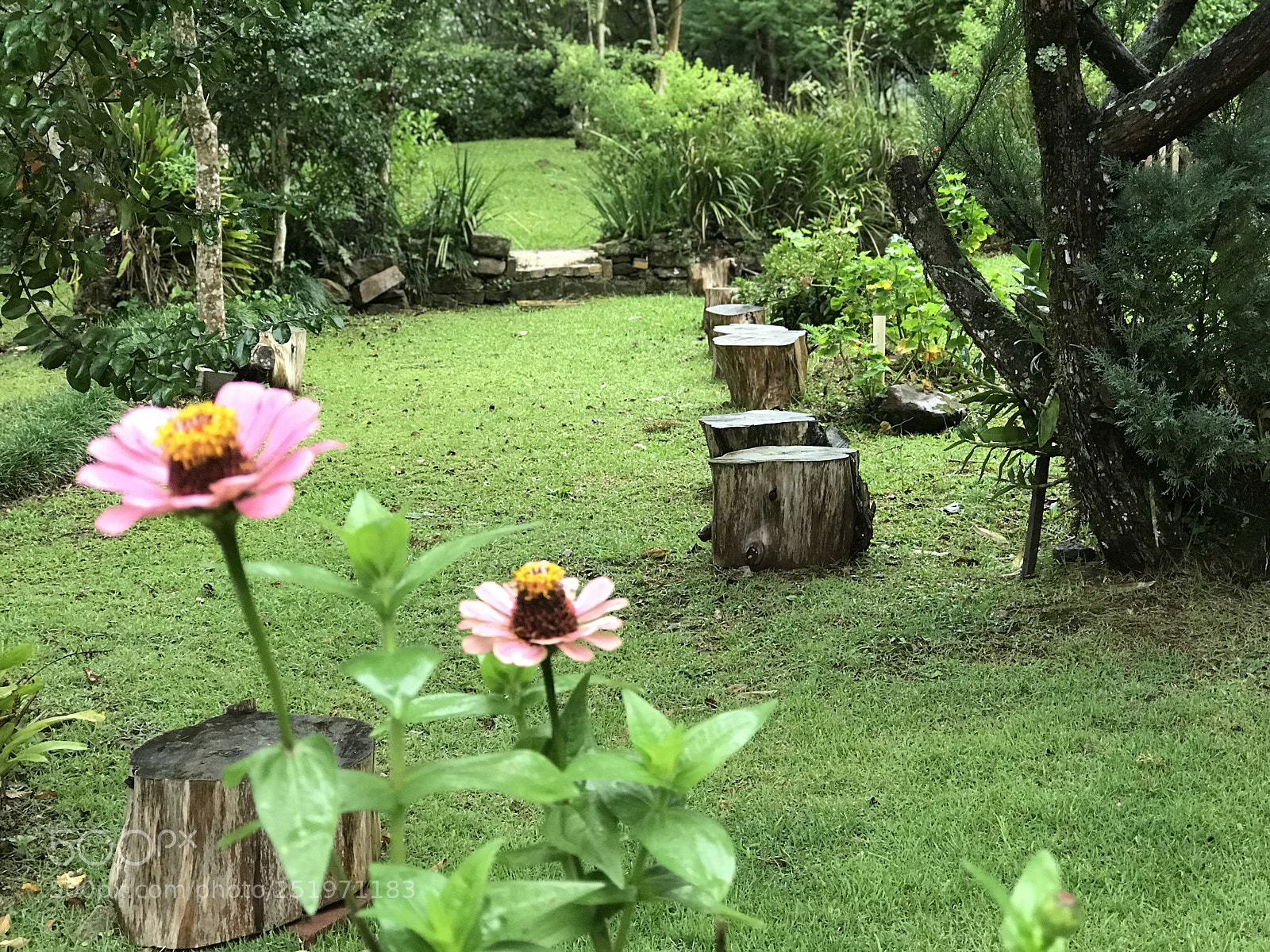 Apple iPhone 7 Plus sample photo. After the rain... photography