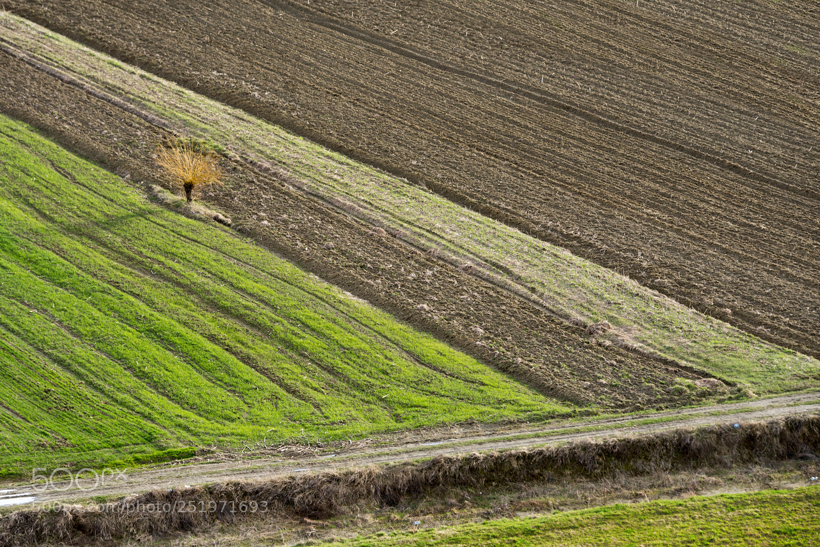 Nikon D800 sample photo. Lines photography