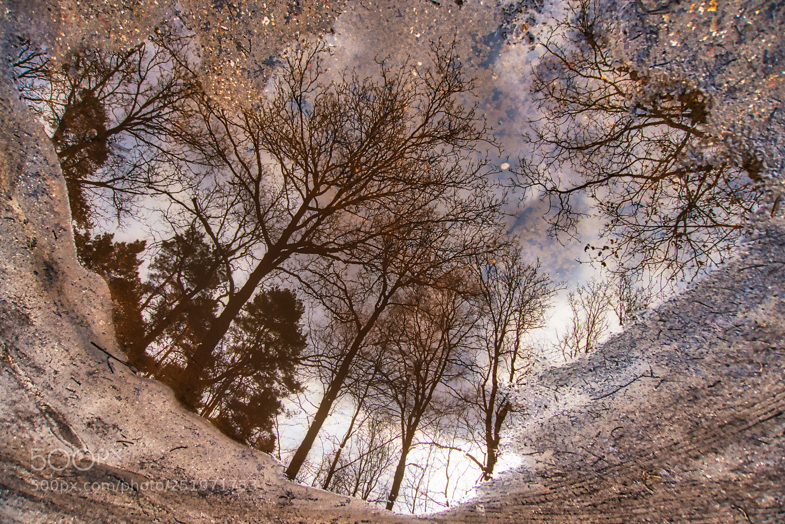 Sony a6500 sample photo. Flipped reflection in a photography