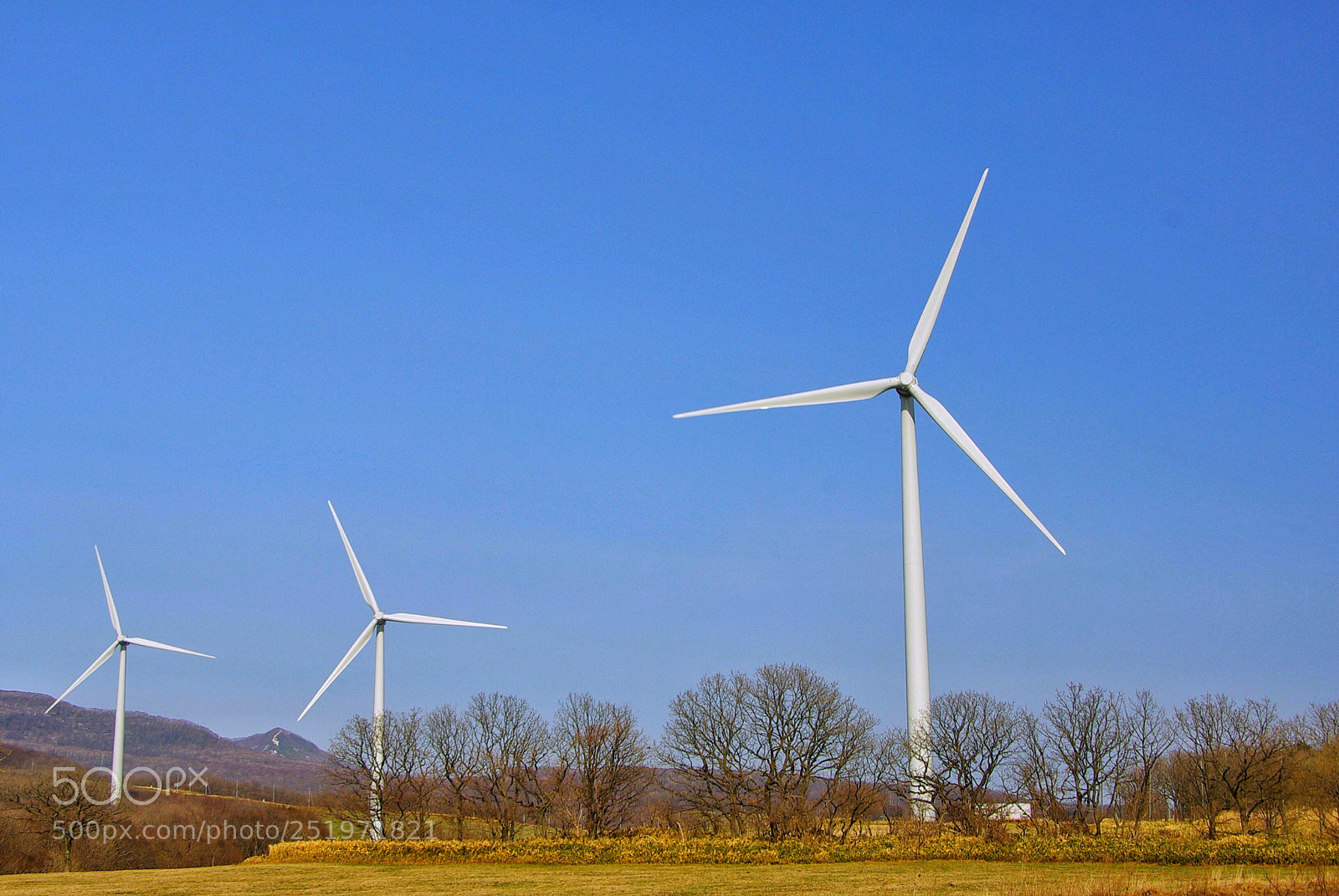 Pentax K10D sample photo. Windfarm  photography