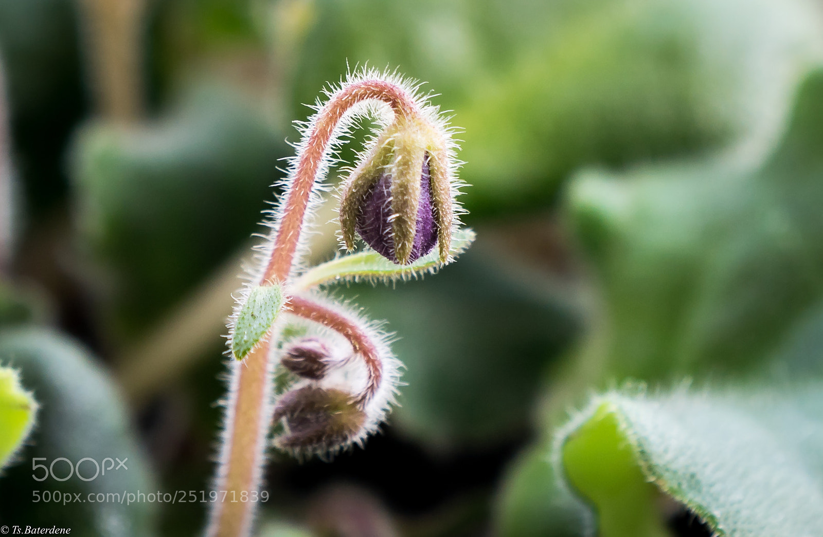 Sony a9 sample photo. New born photography