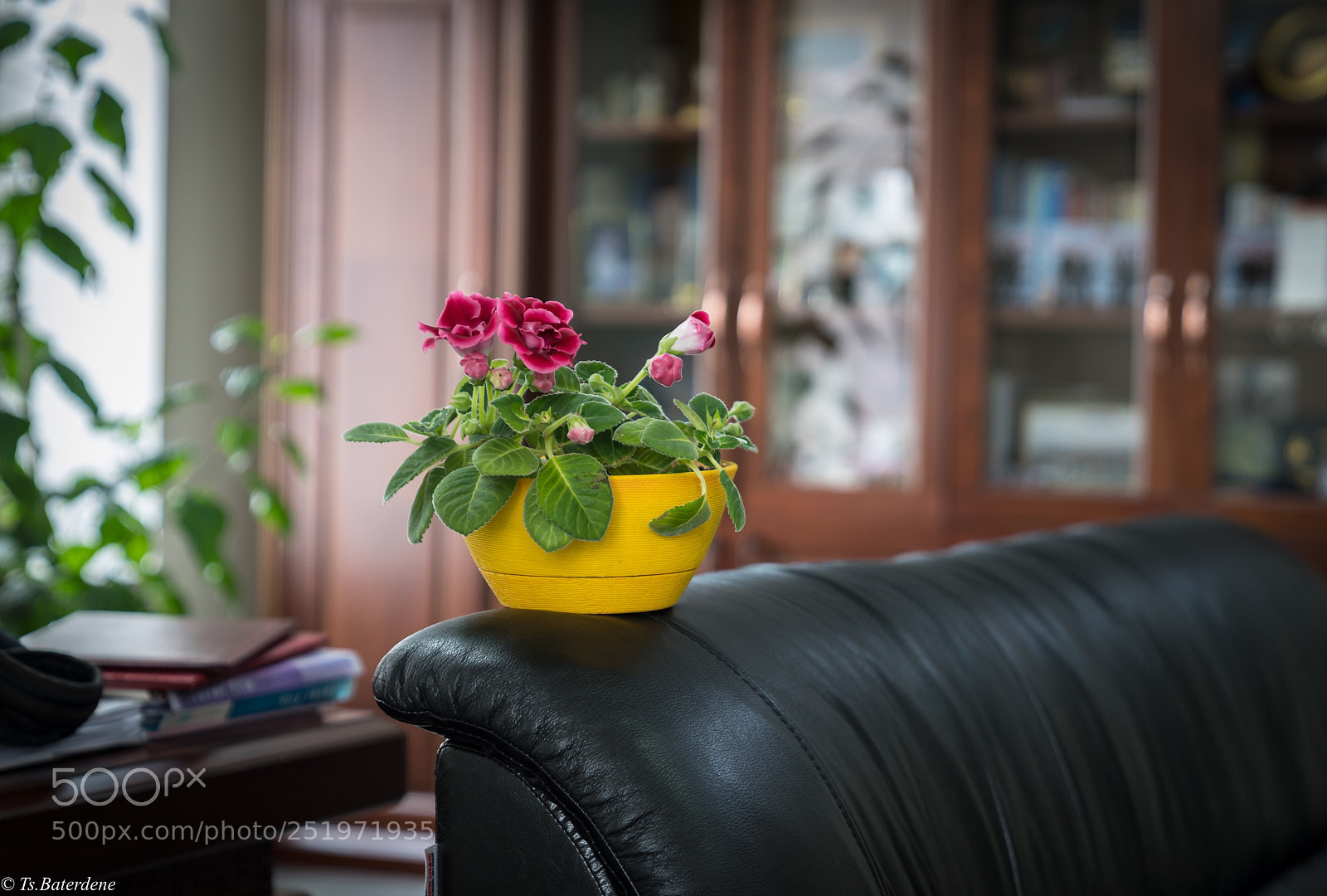 Sony a7R III sample photo. Untitled photography