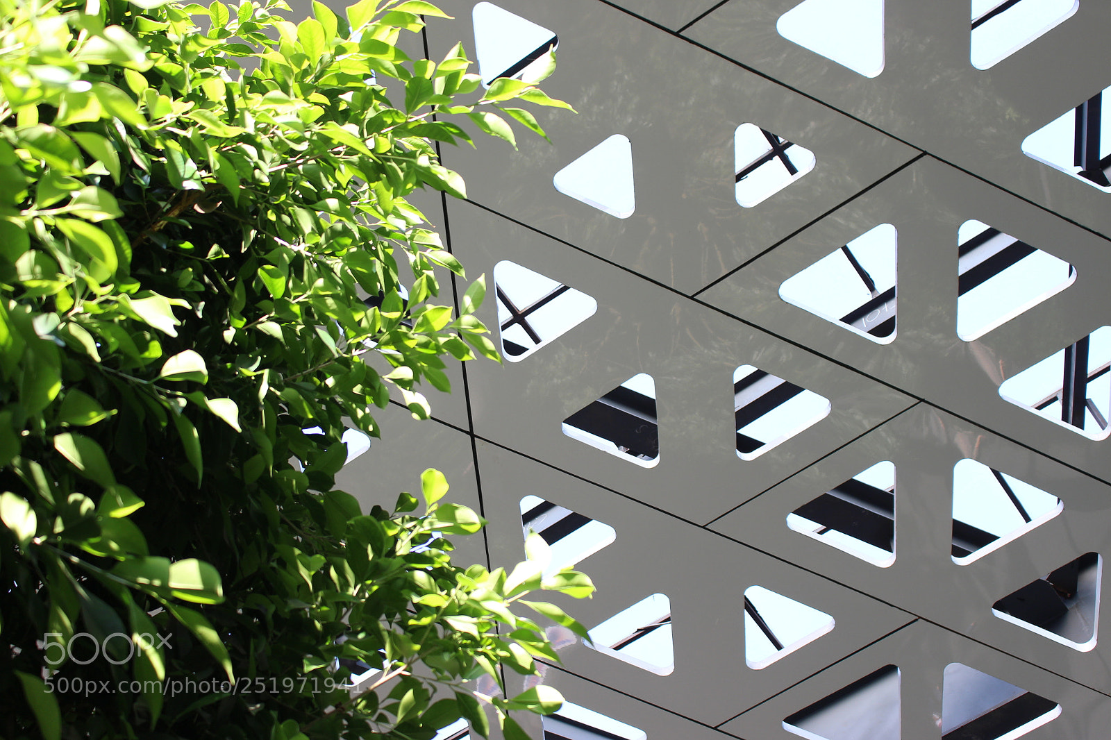 Canon EOS 700D (EOS Rebel T5i / EOS Kiss X7i) sample photo. Tree and dome photography