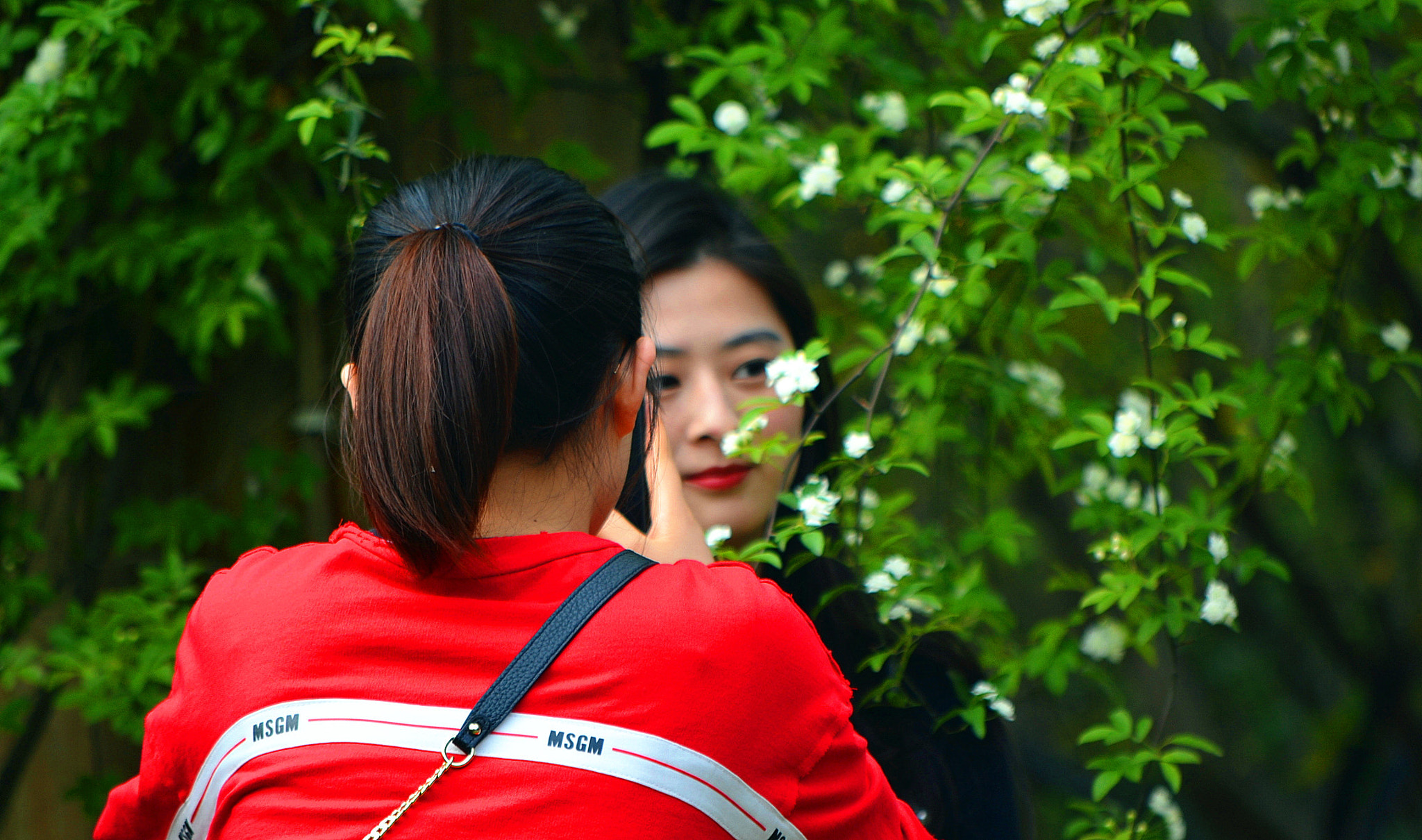 Nikon D3100 sample photo. 春 photography