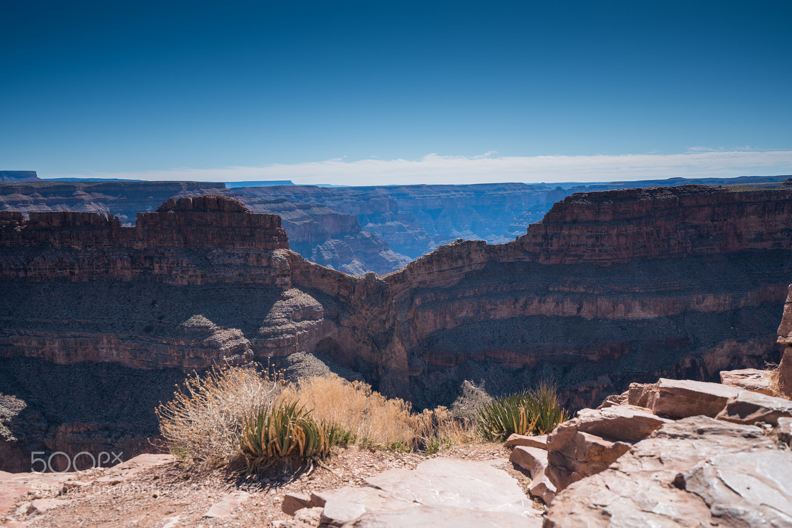 Sony a7R II sample photo. Dsc photography