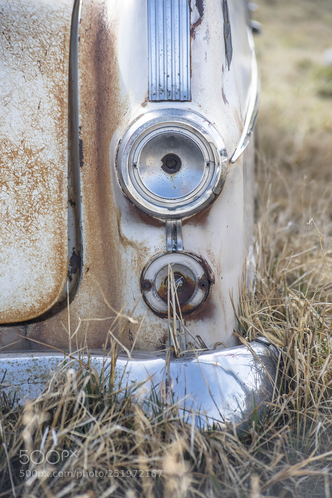 Nikon D810 sample photo. . photography