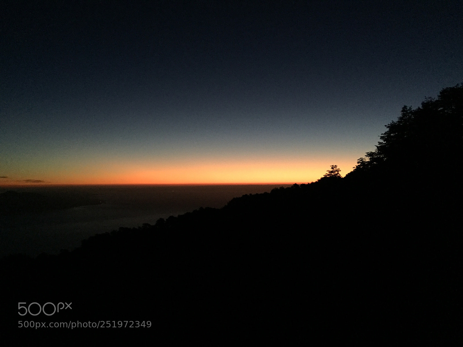 Apple iPhone 6 sample photo. Untitled photography