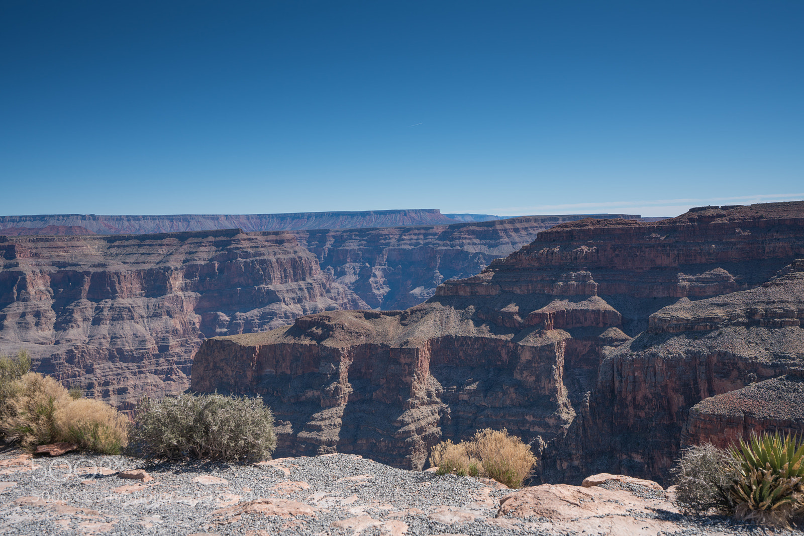 Sony a7R II sample photo. Dsc photography