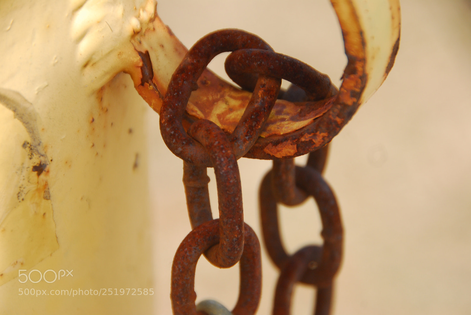 Nikon D200 sample photo. Chains holding everything together photography