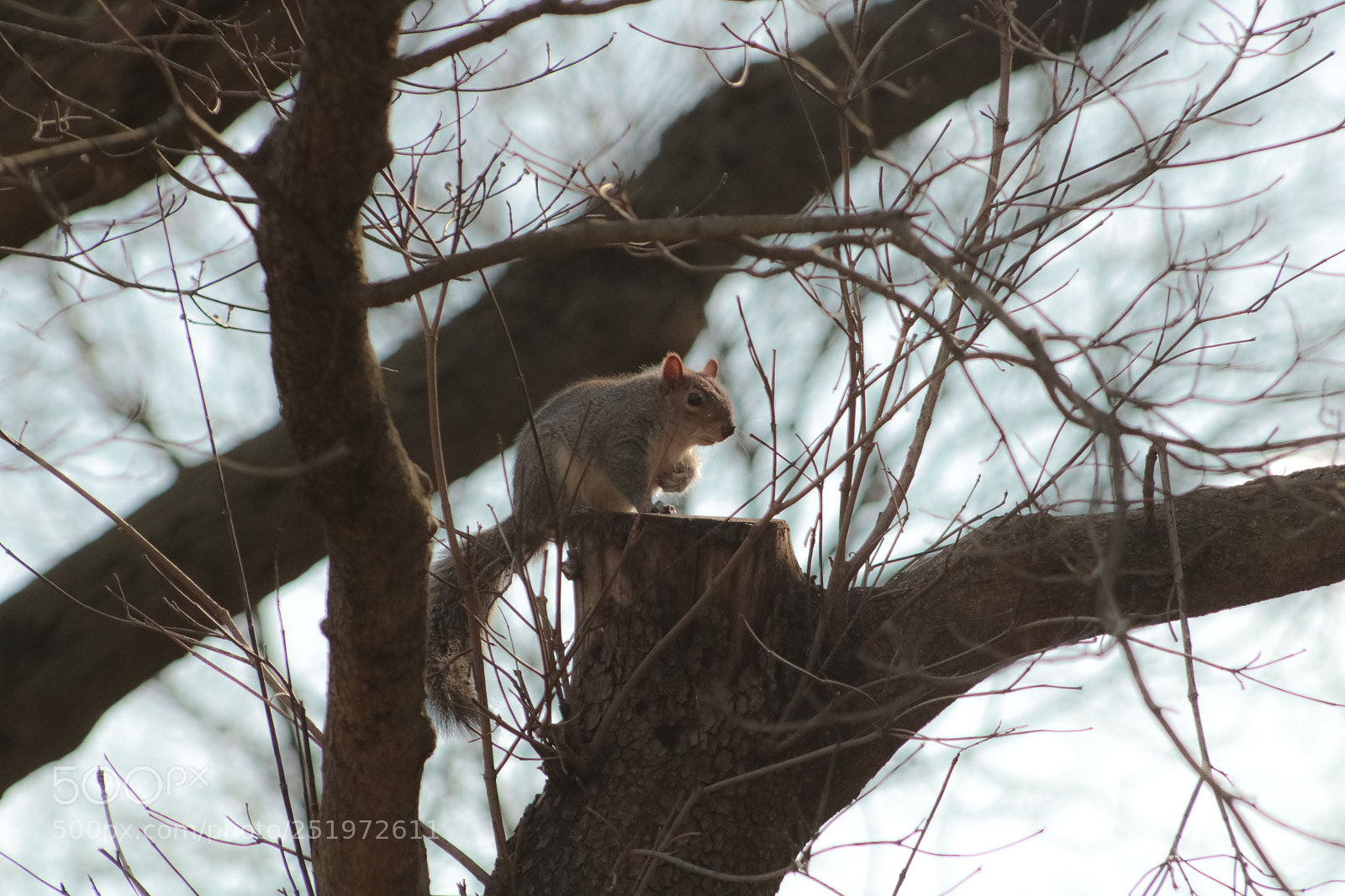 Canon EOS 750D (EOS Rebel T6i / EOS Kiss X8i) sample photo. Up high photography