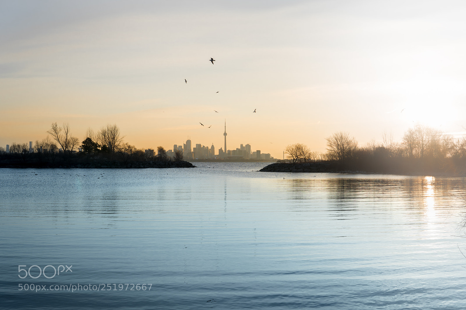 Sony a6500 sample photo. City in the middle photography