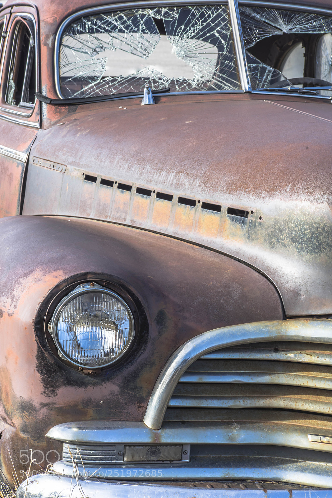 Nikon D810 sample photo. . photography