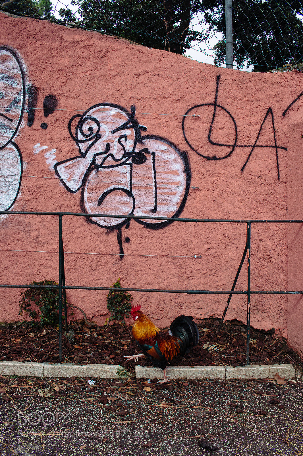 Canon EOS 70D sample photo. Untitled photography