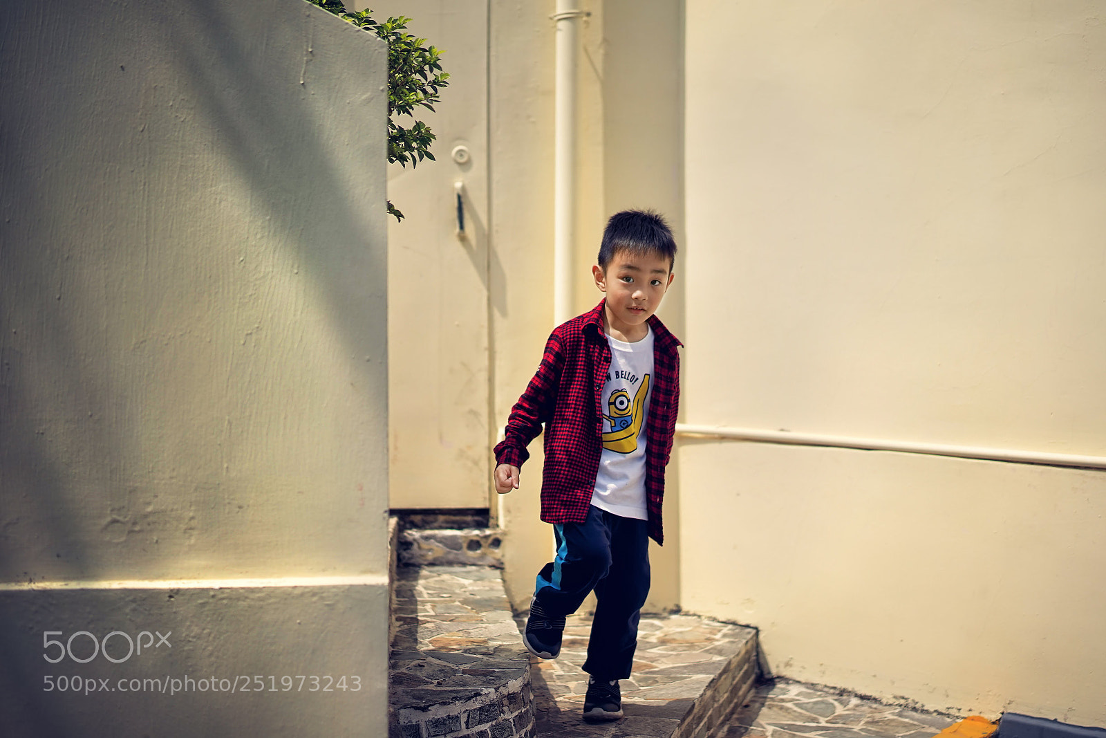Sony a7 sample photo. 小锅 photography