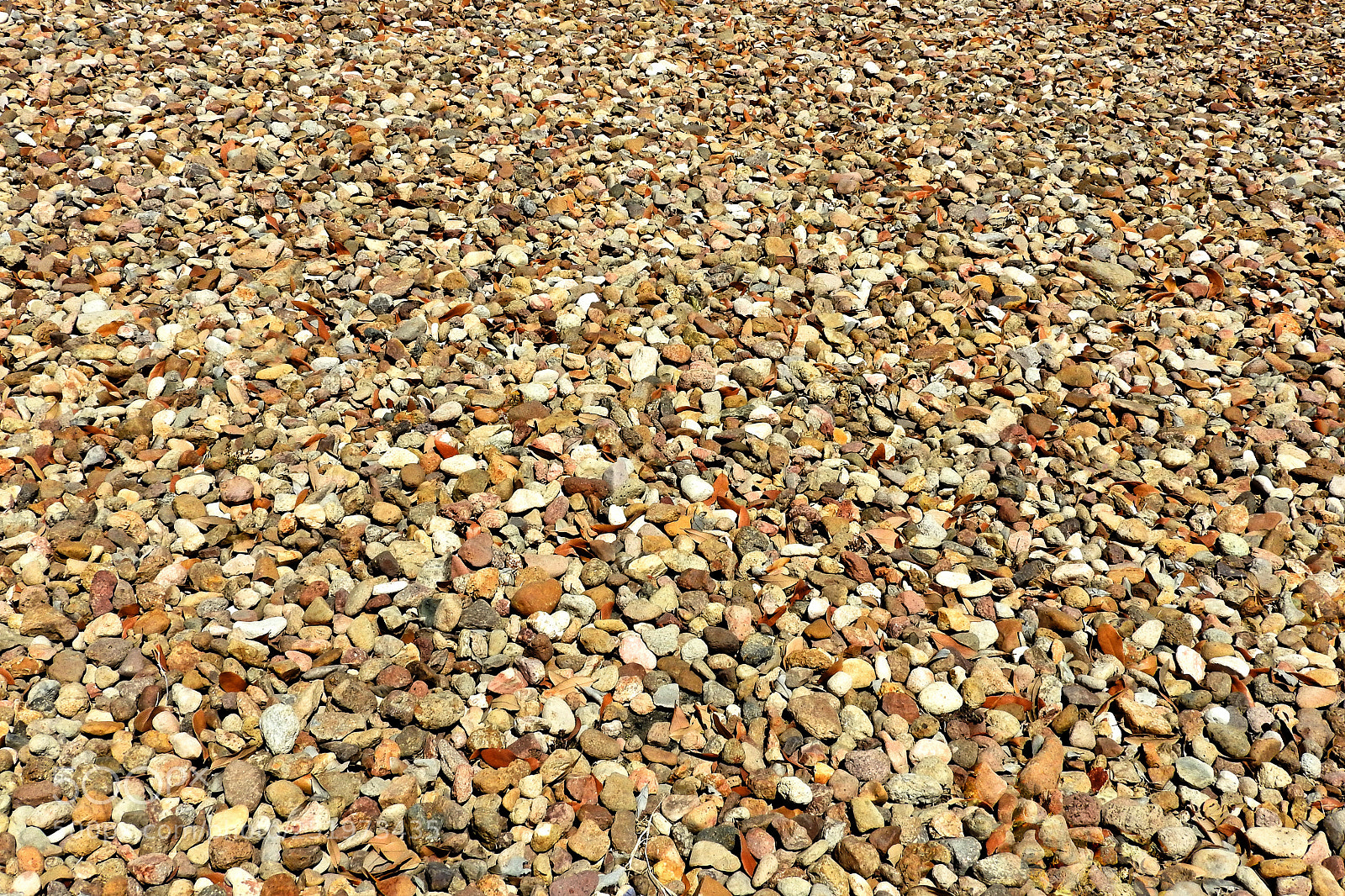 Nikon Coolpix P610 sample photo. Rocas photography