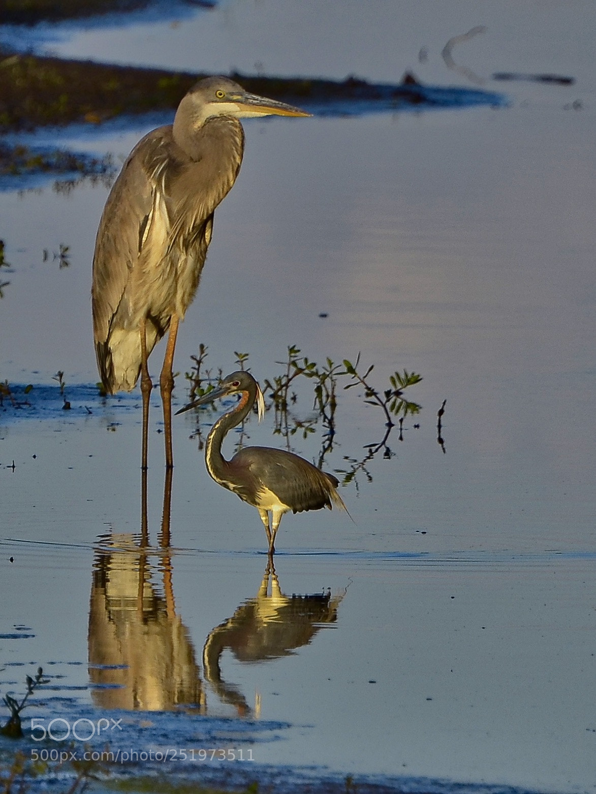 Nikon D7000 sample photo. Safe with mom photography