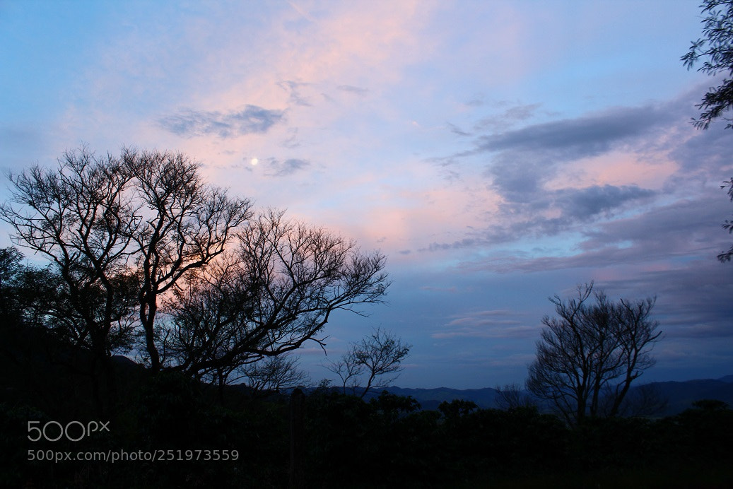 Canon EOS 1300D (EOS Rebel T6 / EOS Kiss X80) sample photo. Sunset near a coffe photography