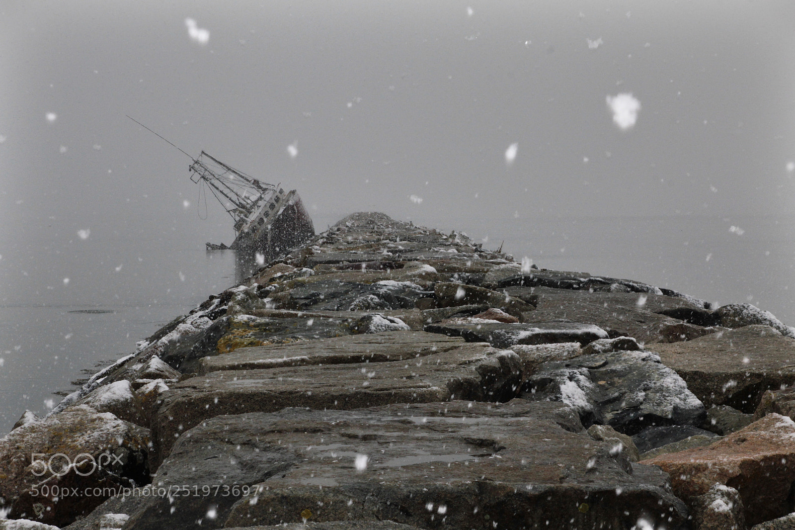 Canon EOS 550D (EOS Rebel T2i / EOS Kiss X4) sample photo. Snow storm photography