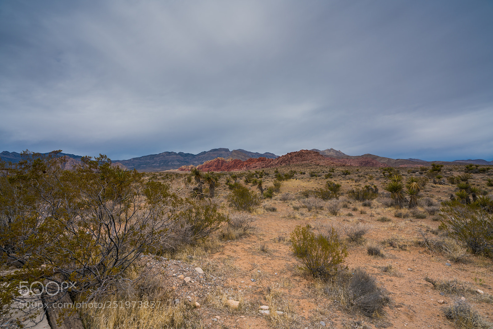 Sony a7R II sample photo. Dsc photography