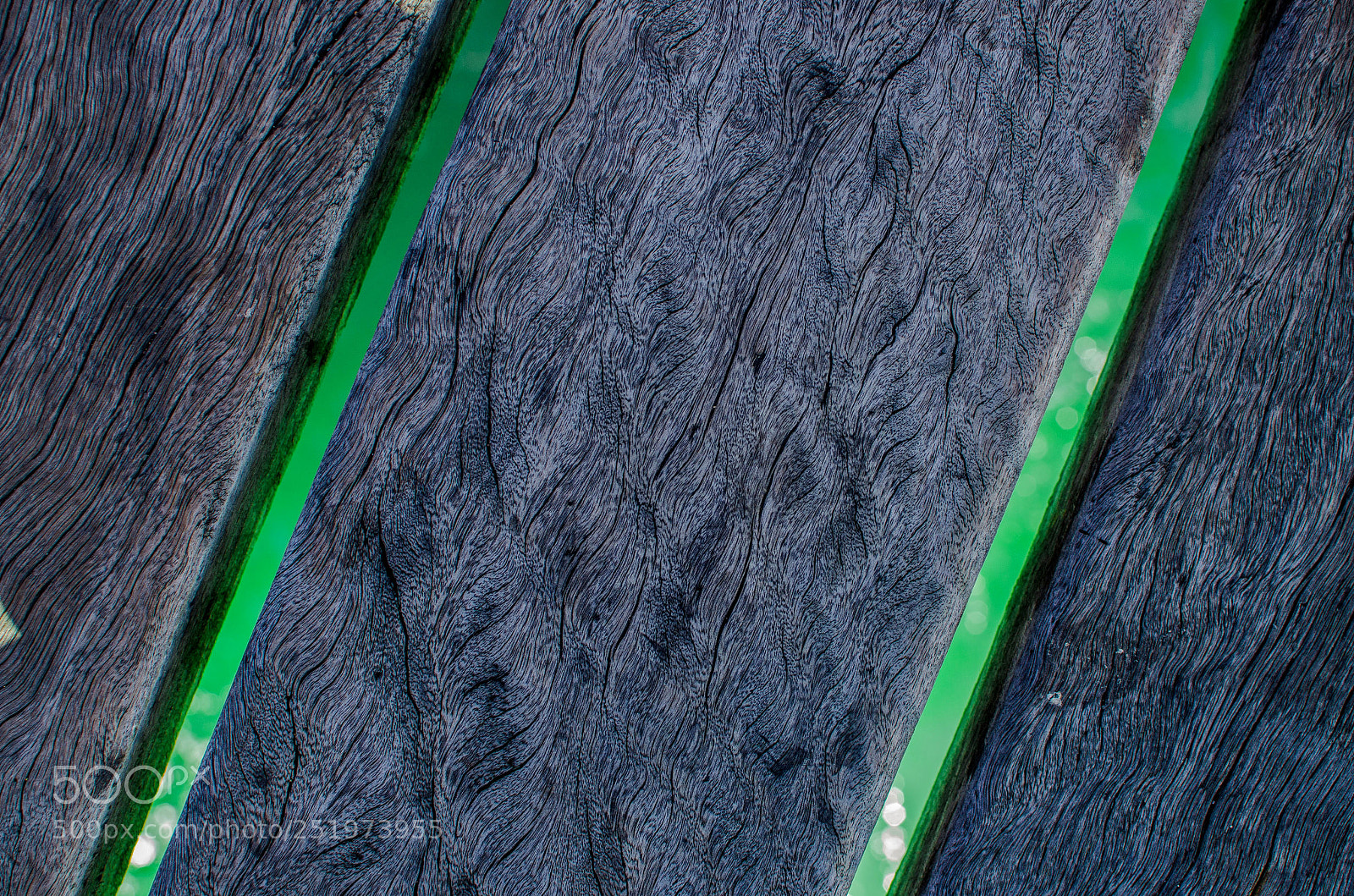 Nikon D7000 sample photo. Colors below photography