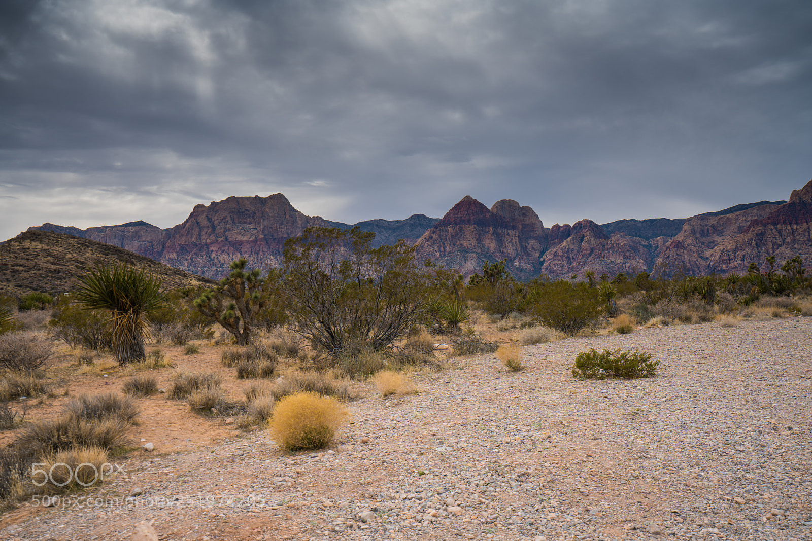 Sony a7R II sample photo. Dsc photography