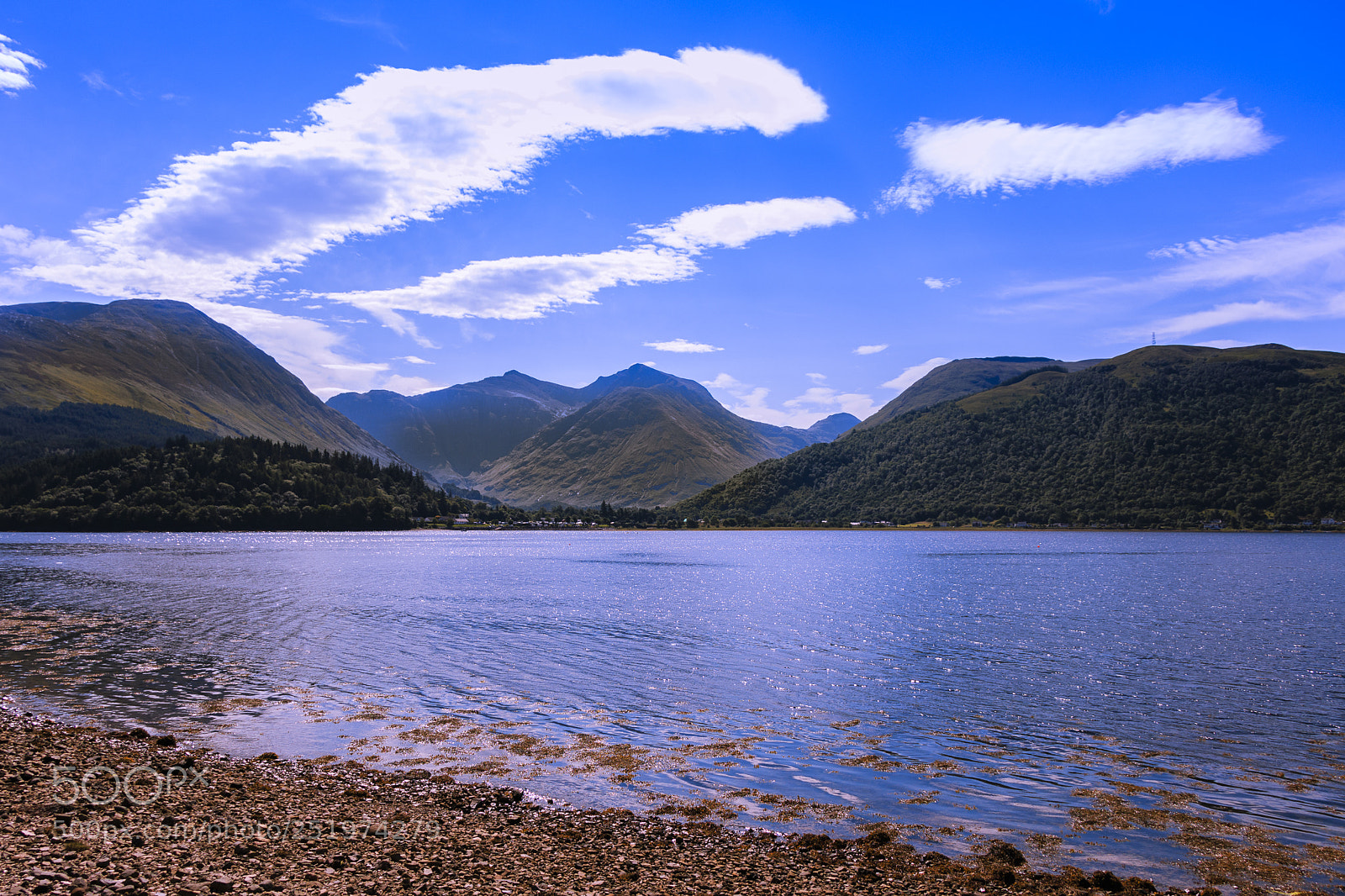 Canon EOS 70D sample photo. Untitled photography
