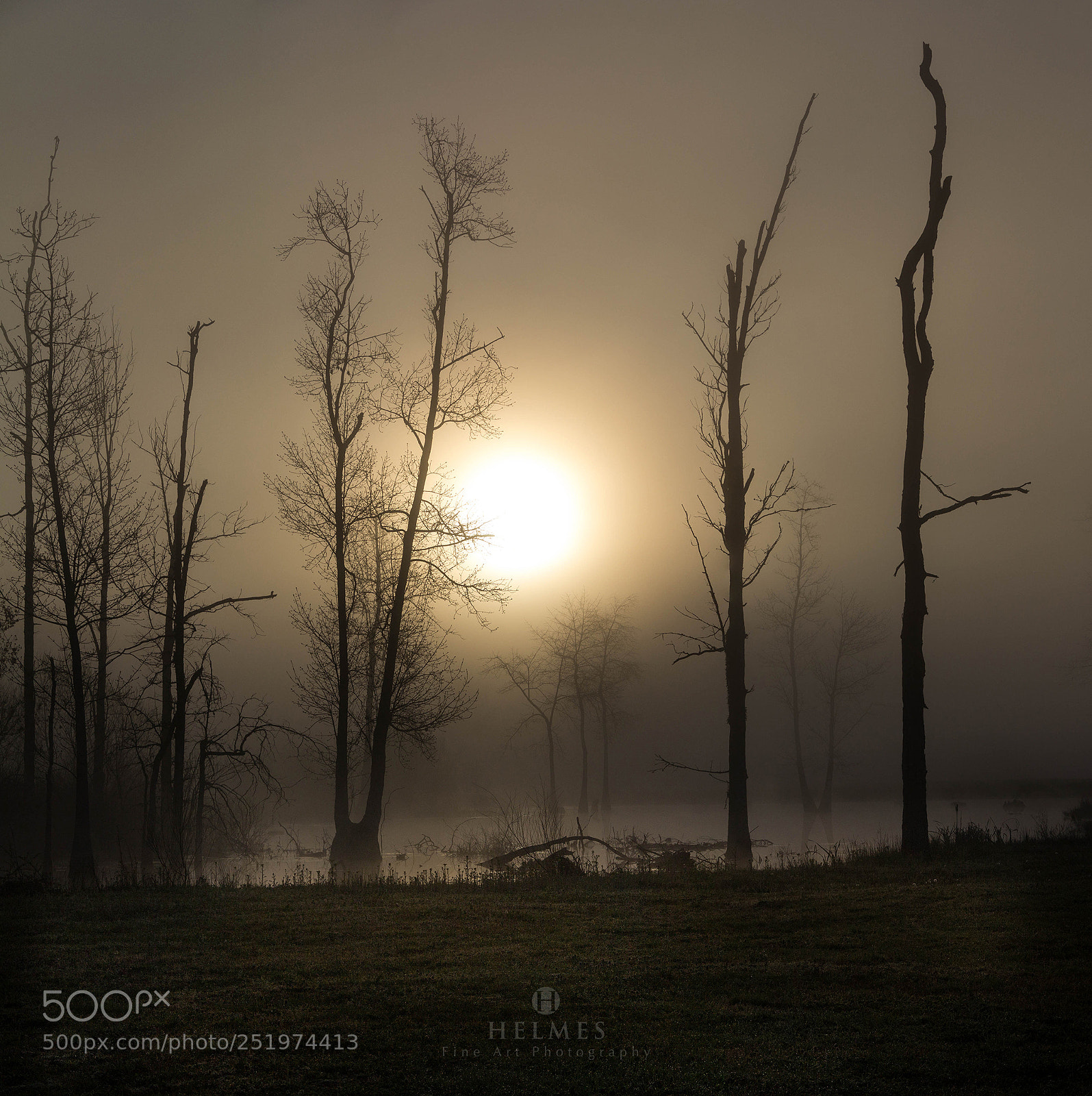 Canon EOS 60D sample photo. Morning mist photography