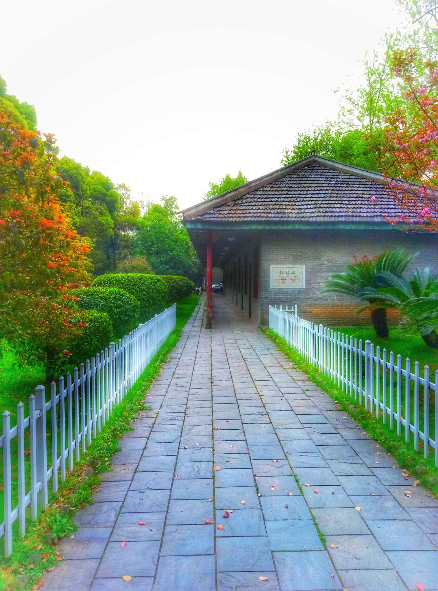 Meizu M5 Note sample photo