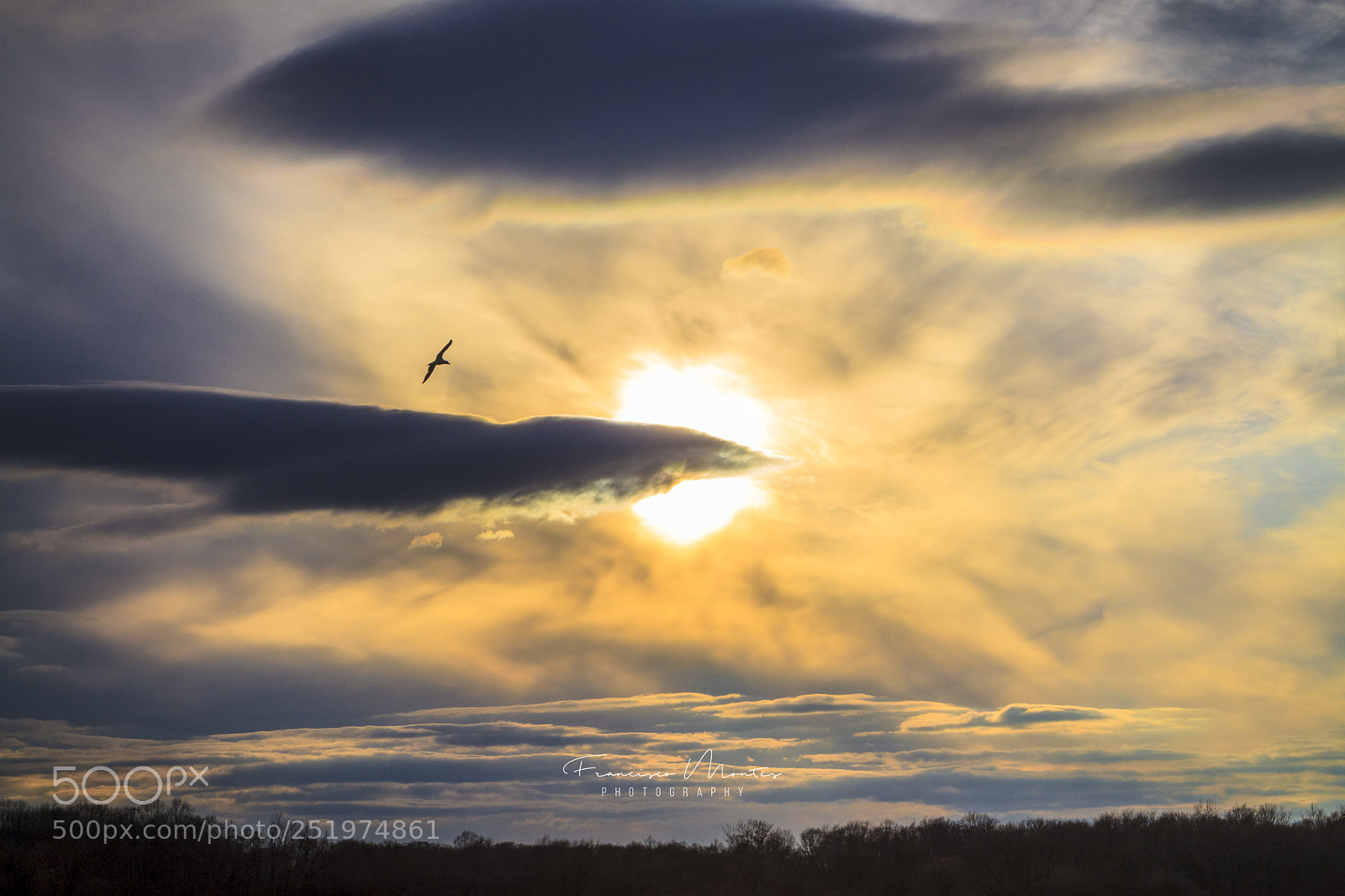 Canon EOS 7D sample photo. Glorious sunset photography