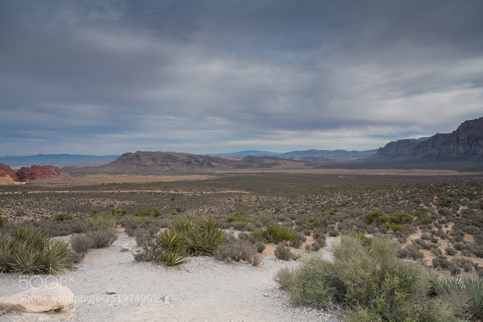 Sony a7R II sample photo. Dsc photography