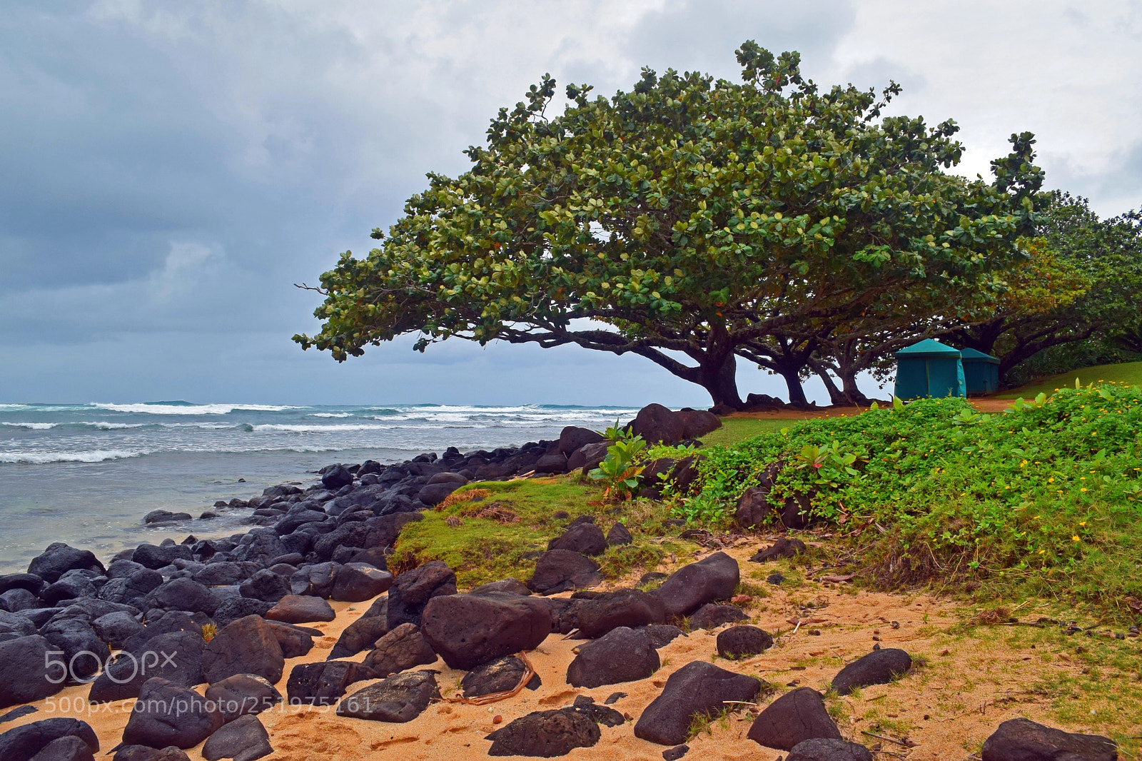 Nikon D5300 sample photo. Napali coast kauai 2 photography