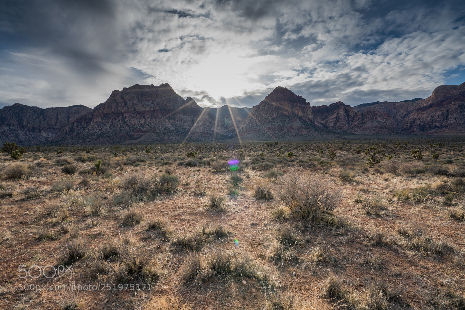 Sony a7R II sample photo. Dsc photography