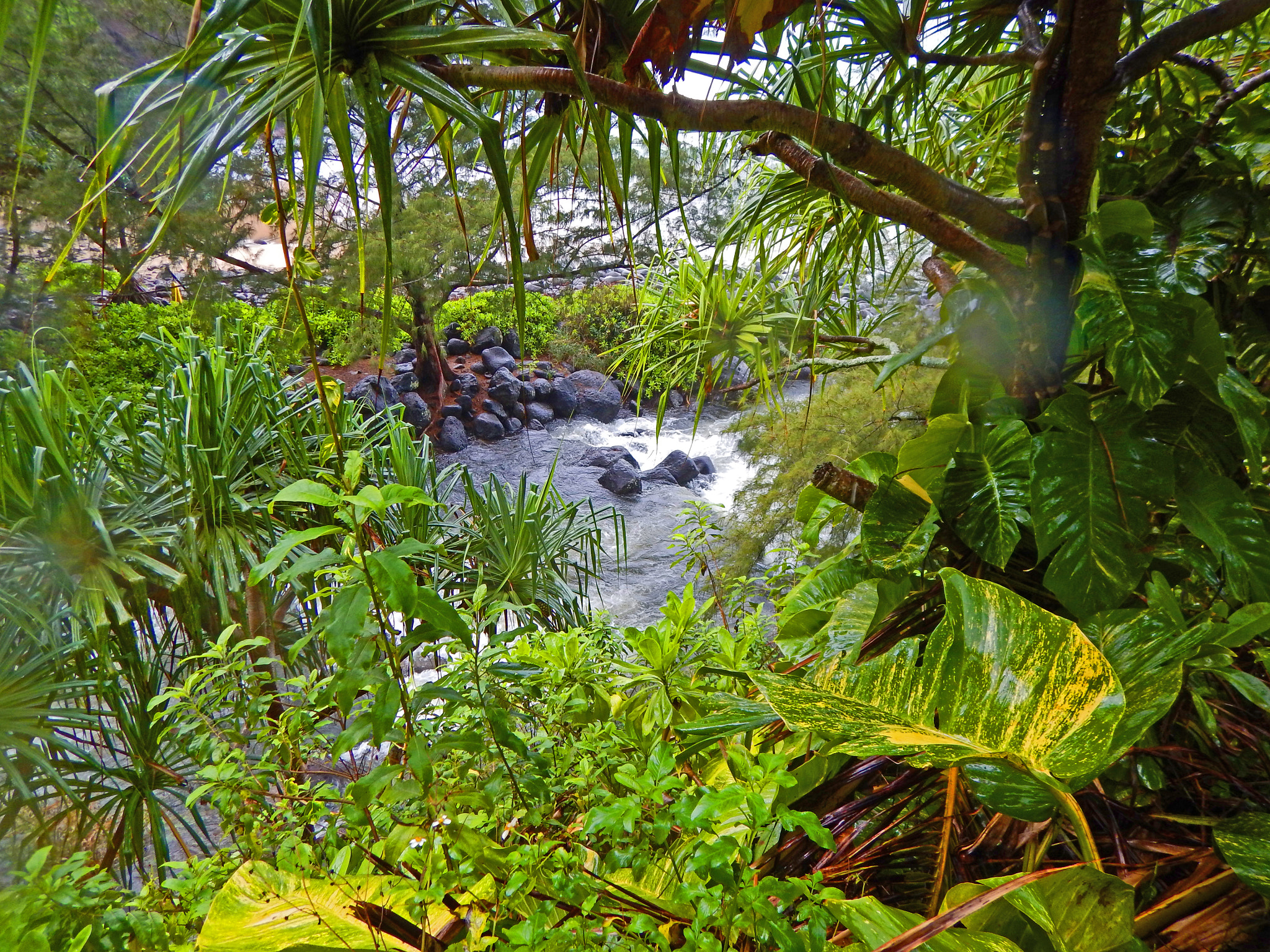 Nikon Coolpix AW130 sample photo. Napali coast kauai 8 photography