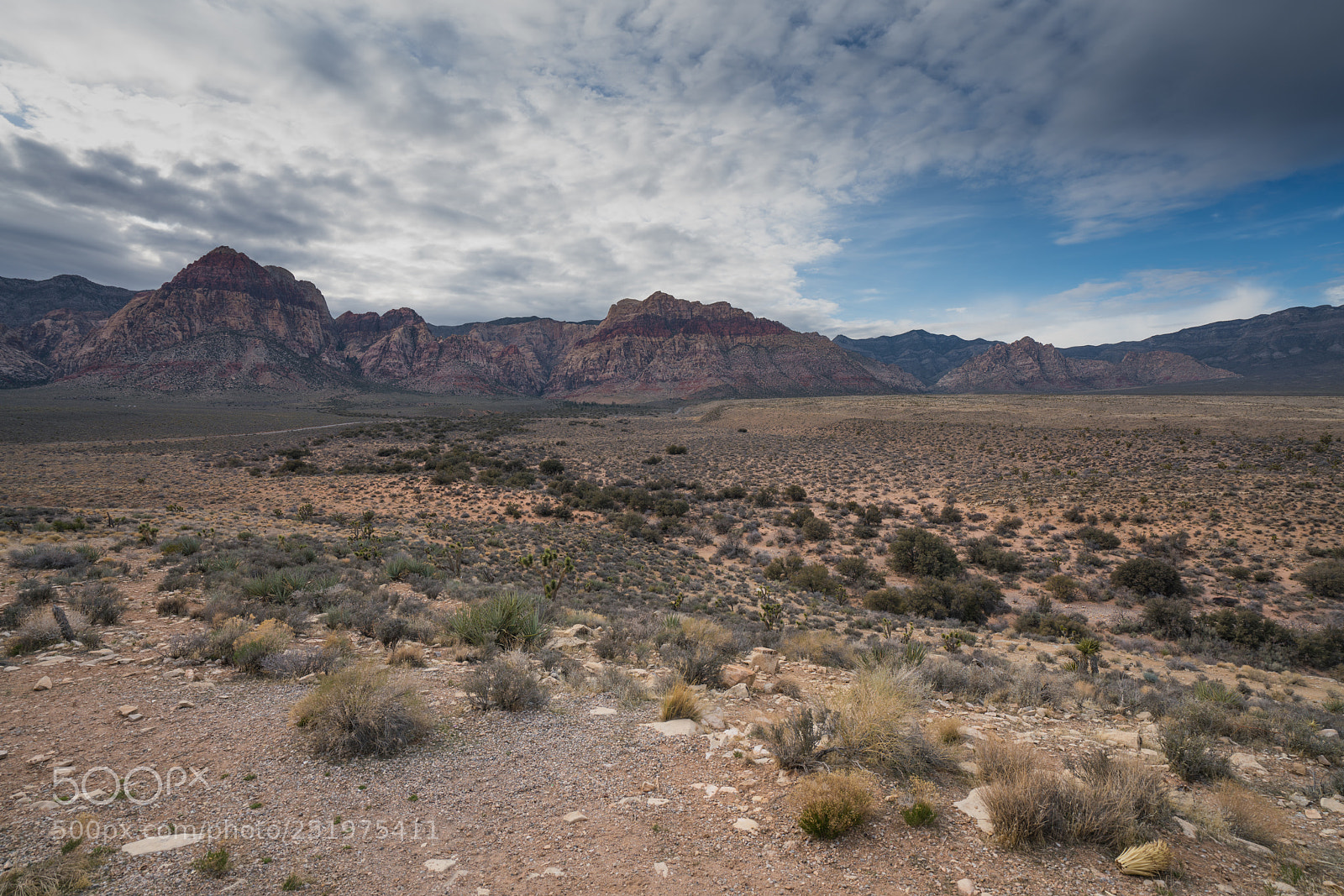 Sony a7R II sample photo. Dsc photography