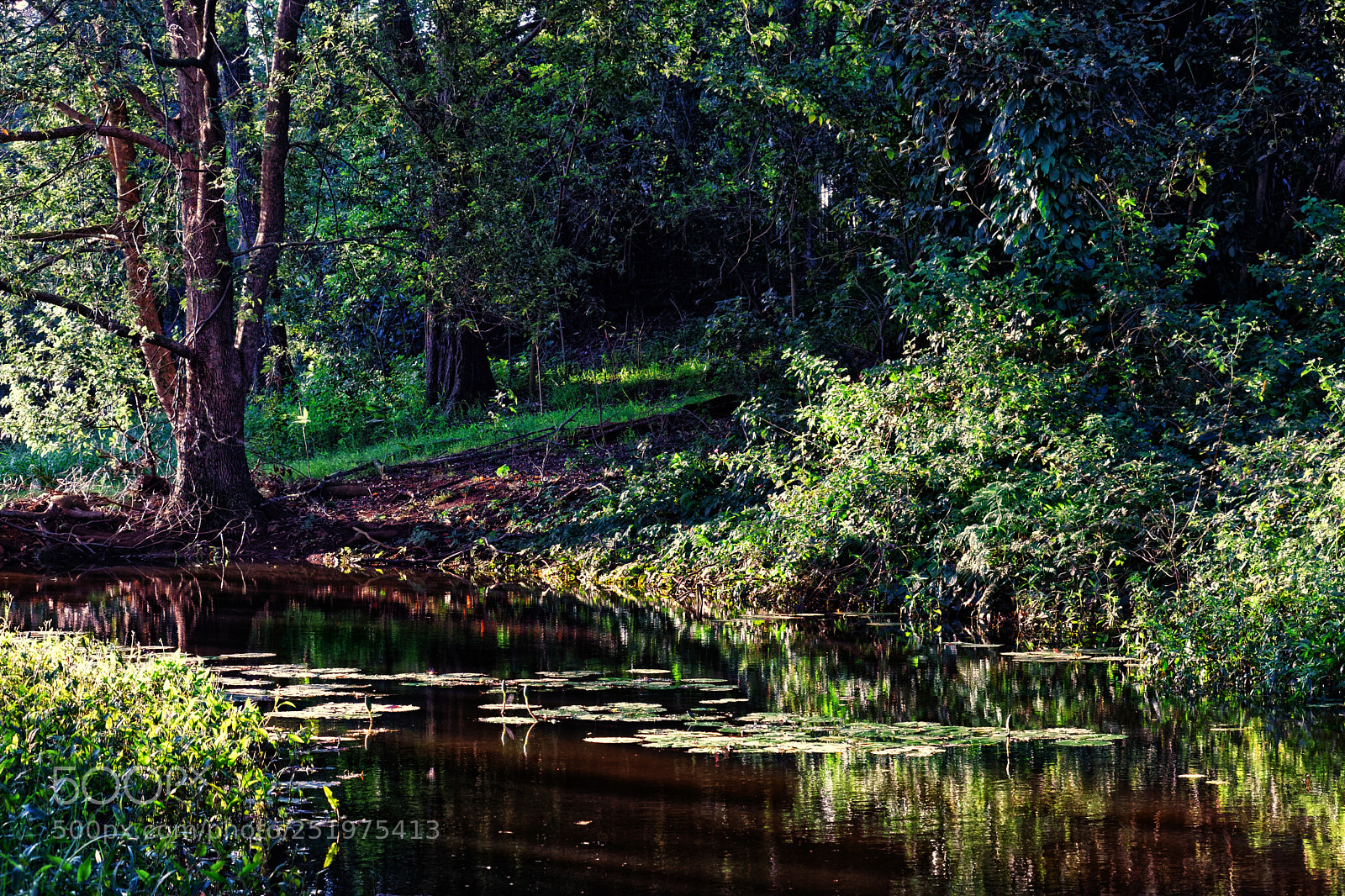 Canon EOS 80D sample photo. Tucki tucki creek goonellabah photography