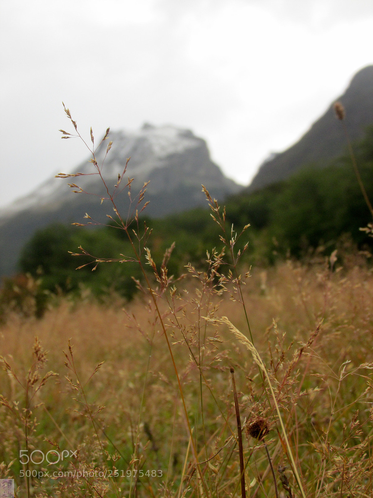 Canon PowerShot SX170 IS sample photo. The peace from the photography