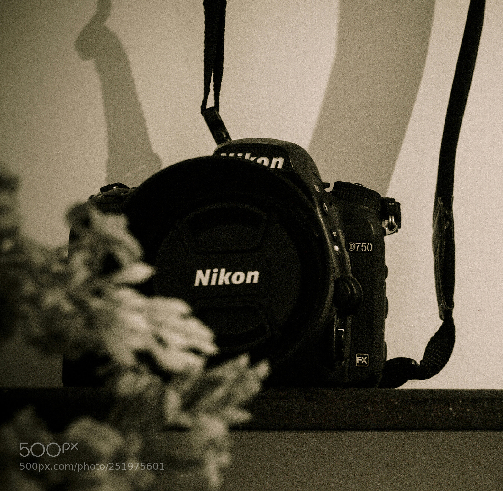 Nikon D7000 sample photo. Untitled photography