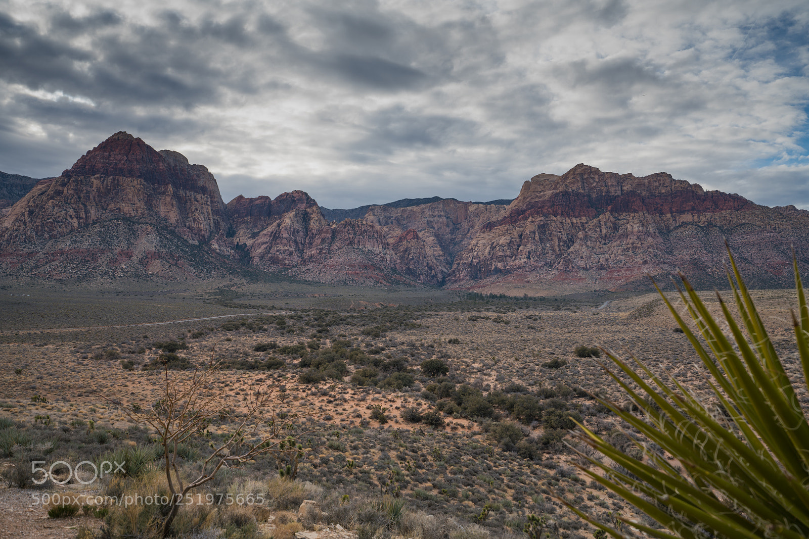 Sony a7R II sample photo. Dsc photography