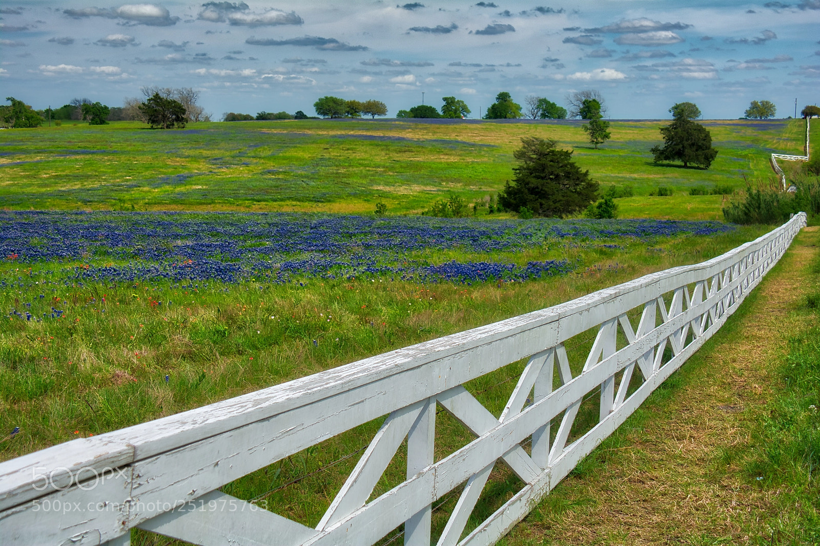 Nikon D7100 sample photo. Chappell hill fence for photography