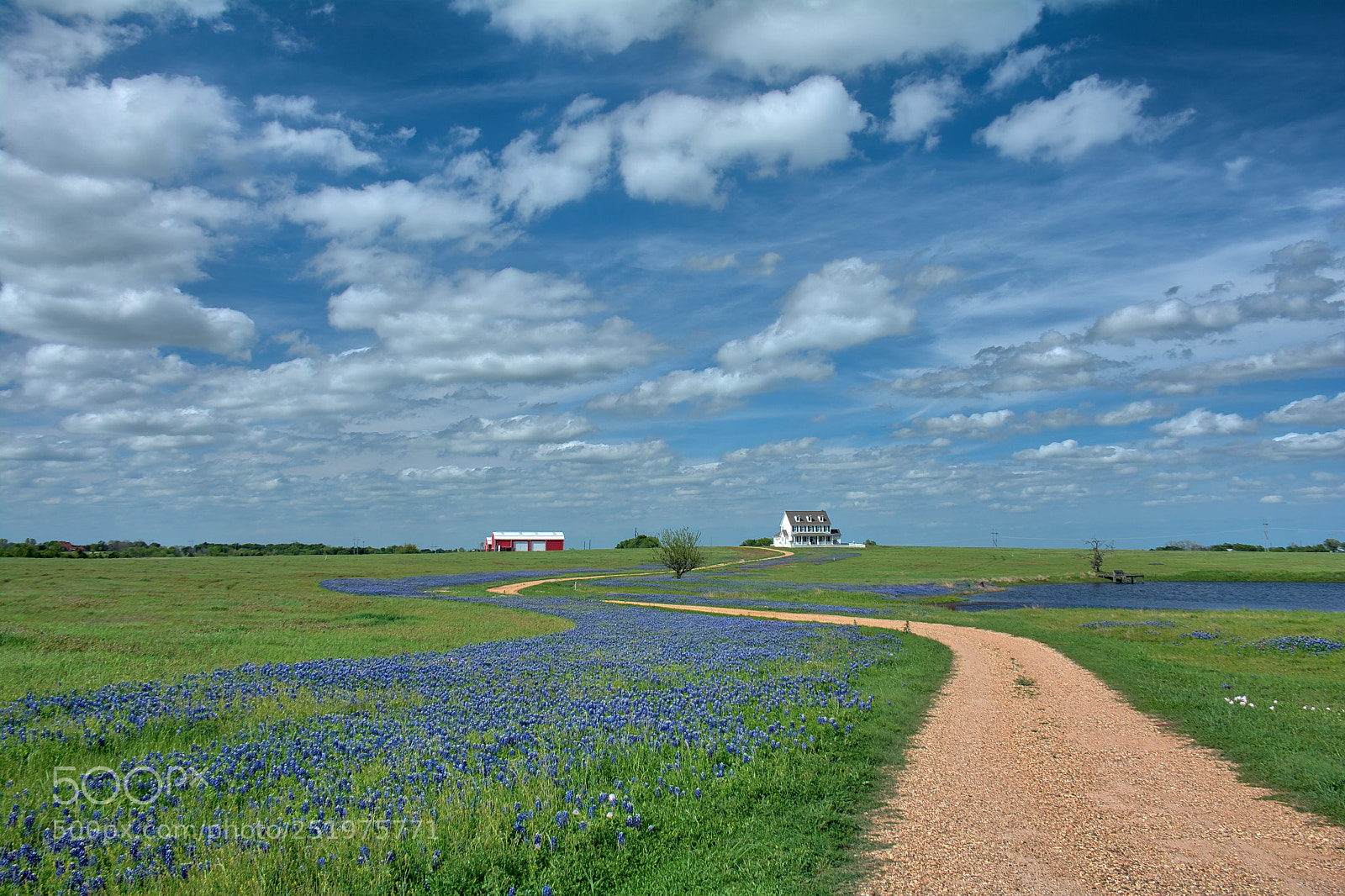 Nikon D7100 sample photo. Bellville road to the photography