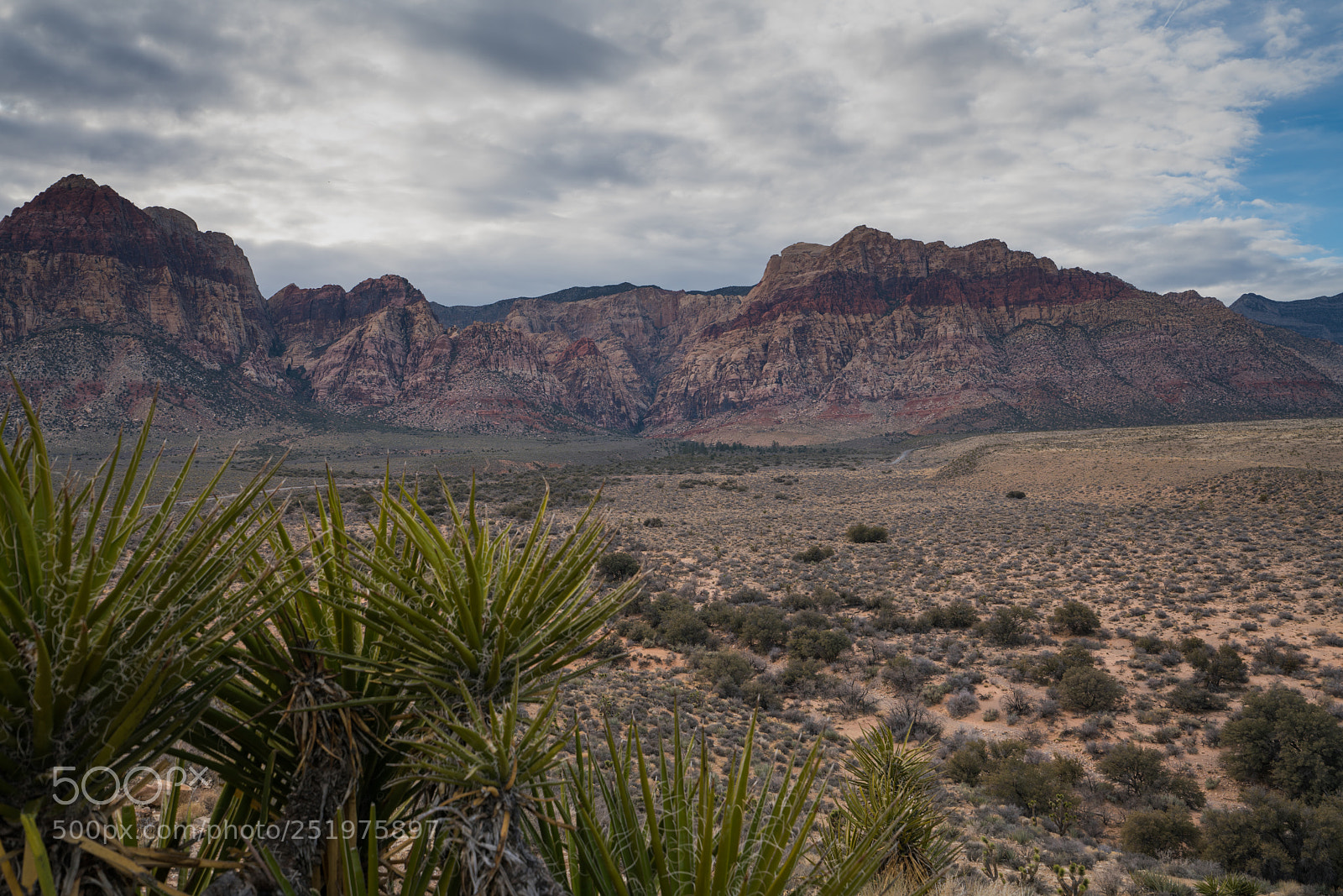 Sony a7R II sample photo. Dsc photography