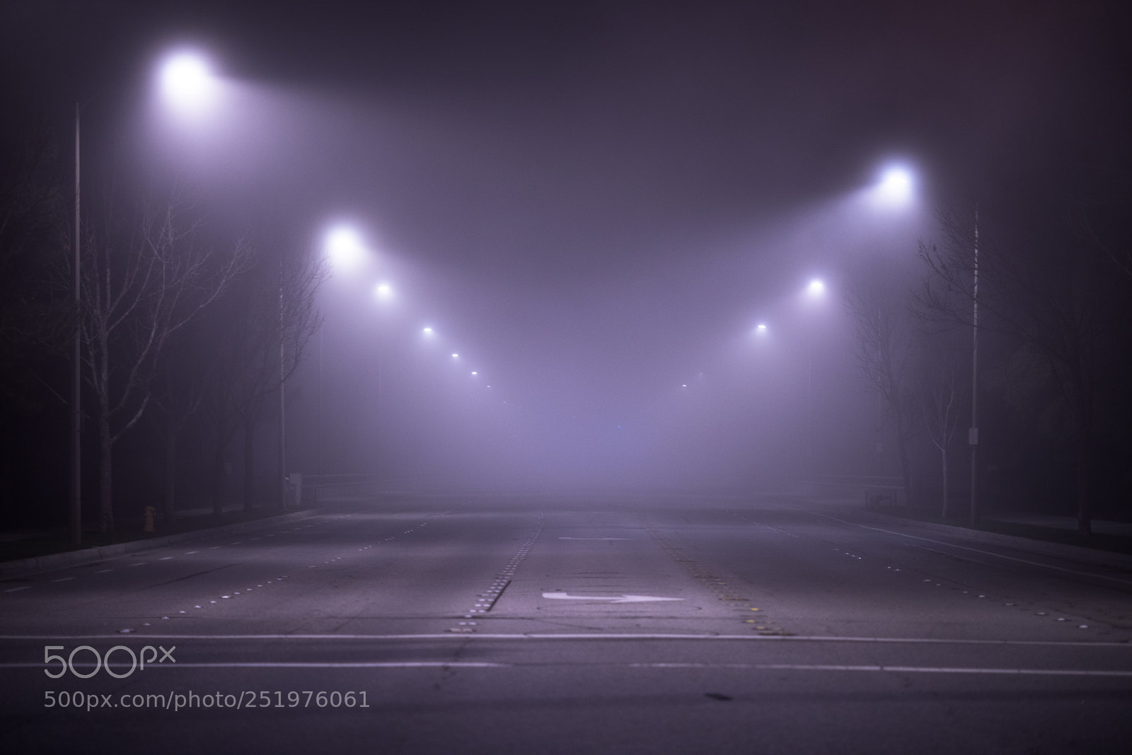 Nikon D810 sample photo. Into the unknown photography