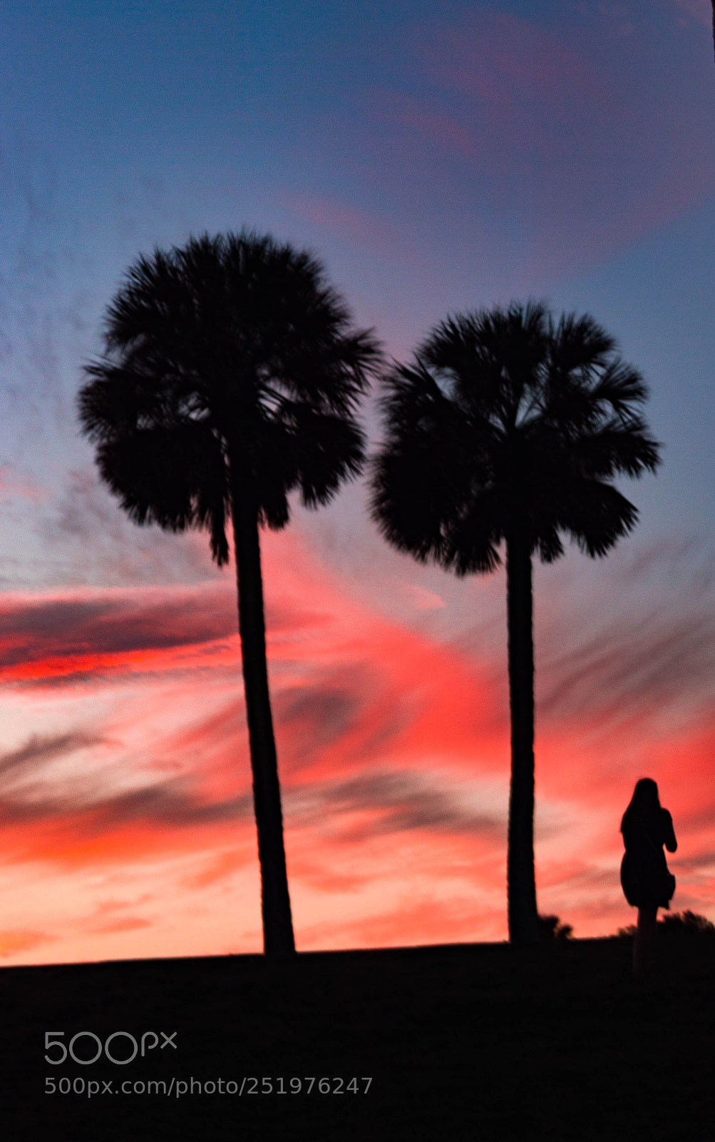 Nikon D3200 sample photo. Palm tree sunset photography