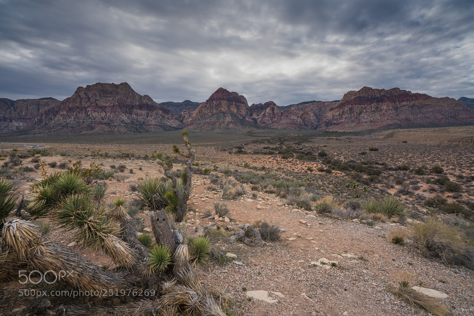 Sony a7R II sample photo. Dsc photography