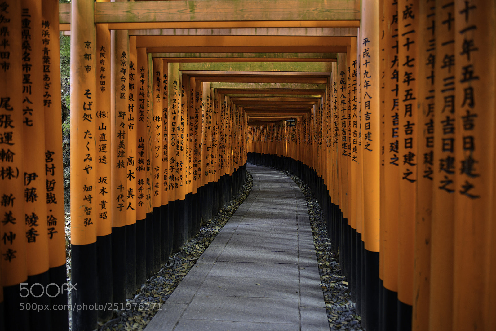 Nikon D800E sample photo. Kyoto,japan photography