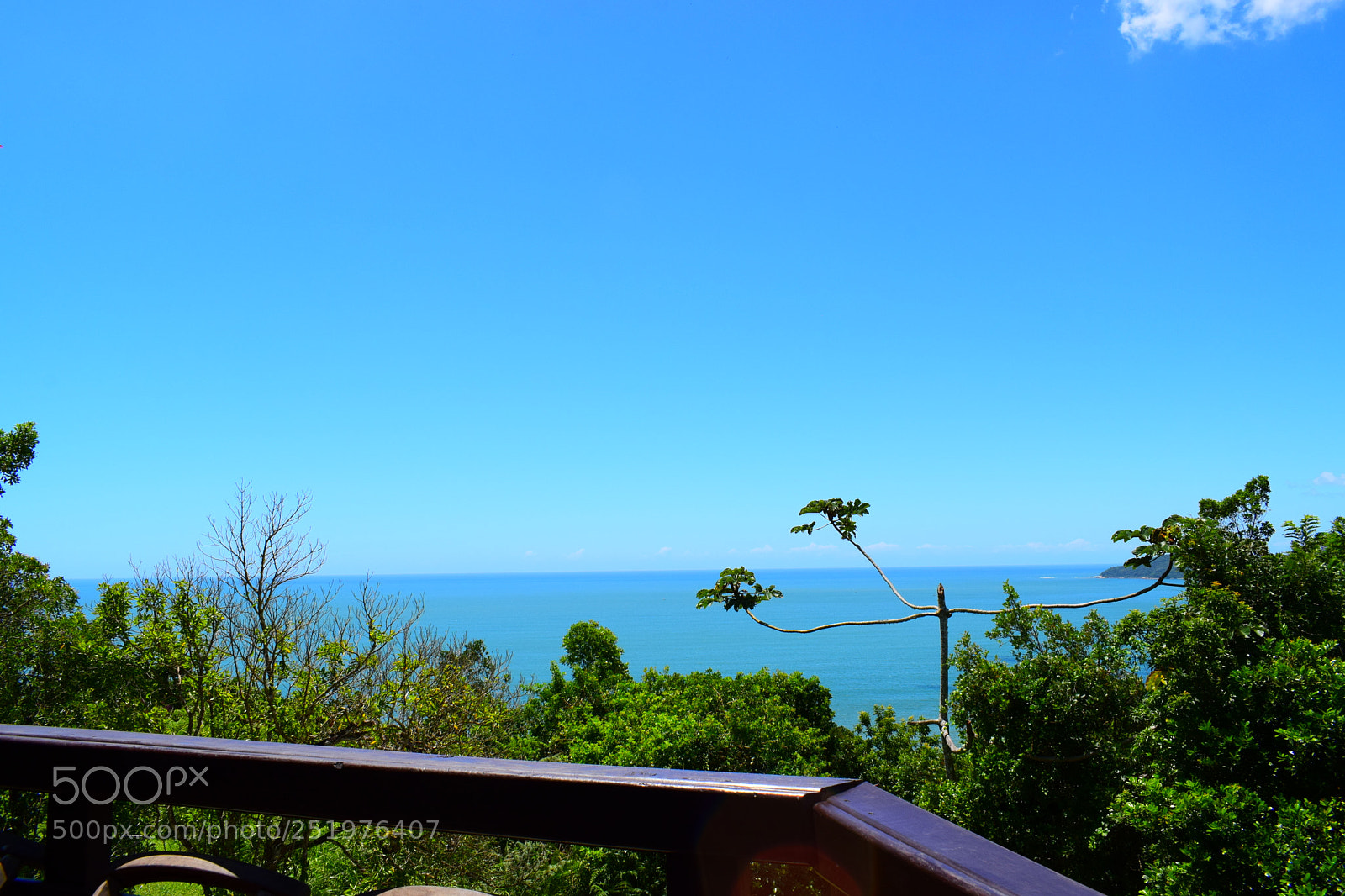 Nikon D3300 sample photo. Untitled photography