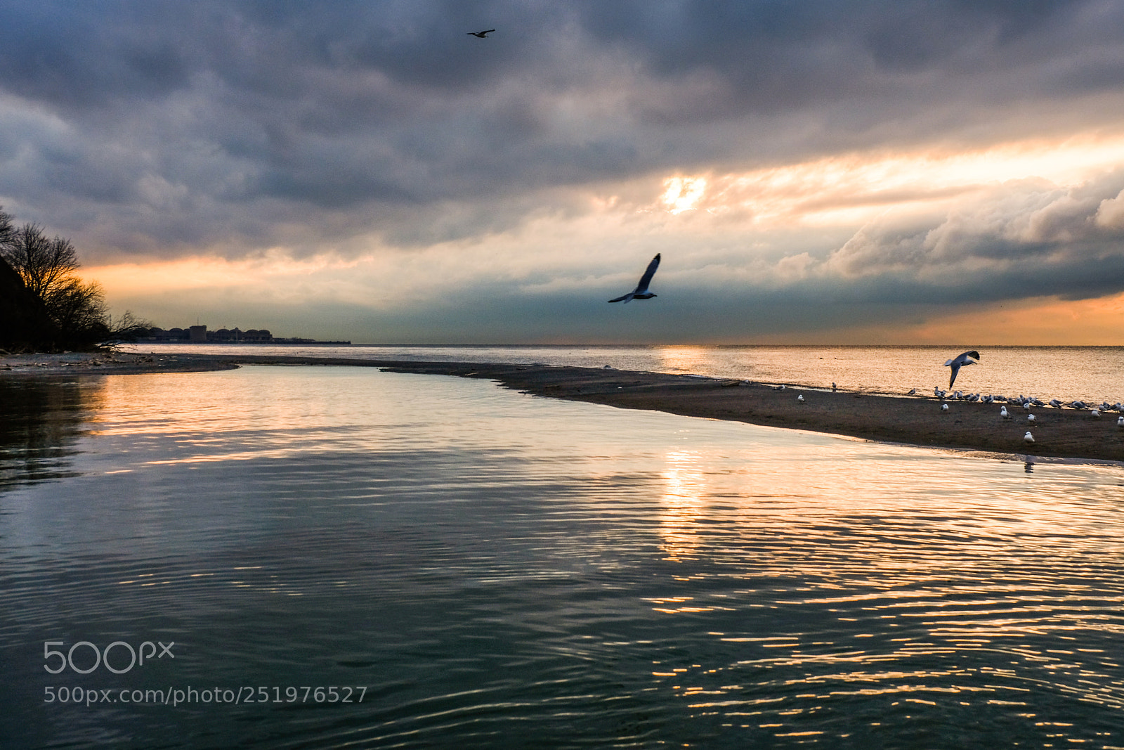 Fujifilm X-T2 sample photo. Morning flights photography