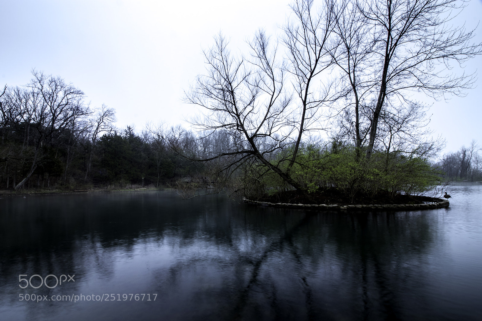 Canon EOS 80D sample photo. Cold pond photography