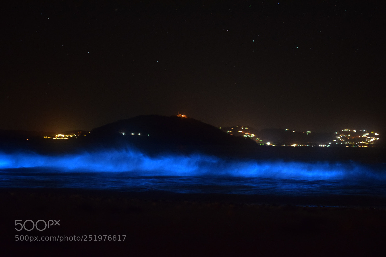 Nikon D5300 sample photo. Bioluminescent photography